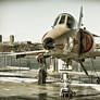 Kfir