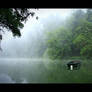 Misty lake 1