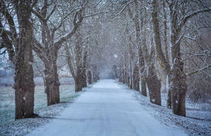 First snow...