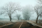 Winter road 3 by Csipesz