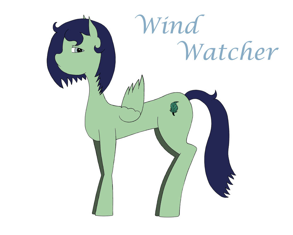 Wind Watcher Wind Watcher by Xander51 on DeviantArt