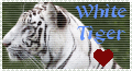 White Tiger Stamp by Atomic-Fate
