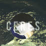 CERES