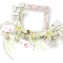 Flower Frame 1