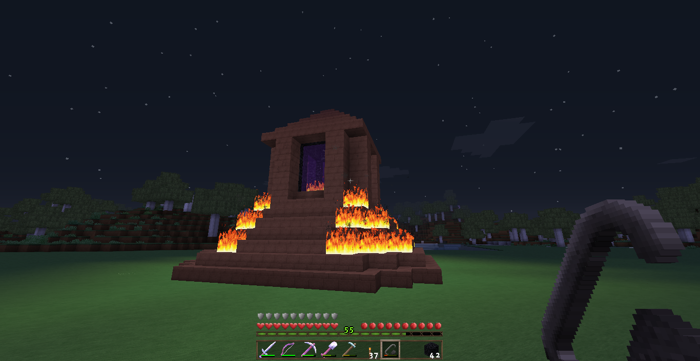 The portal to the Nether