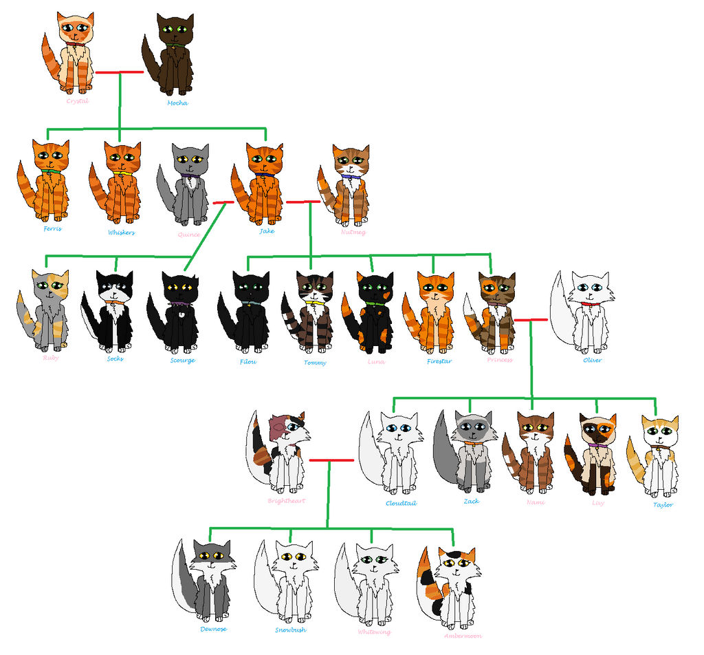 Firestar's family tree by AltWarriors on DeviantArt