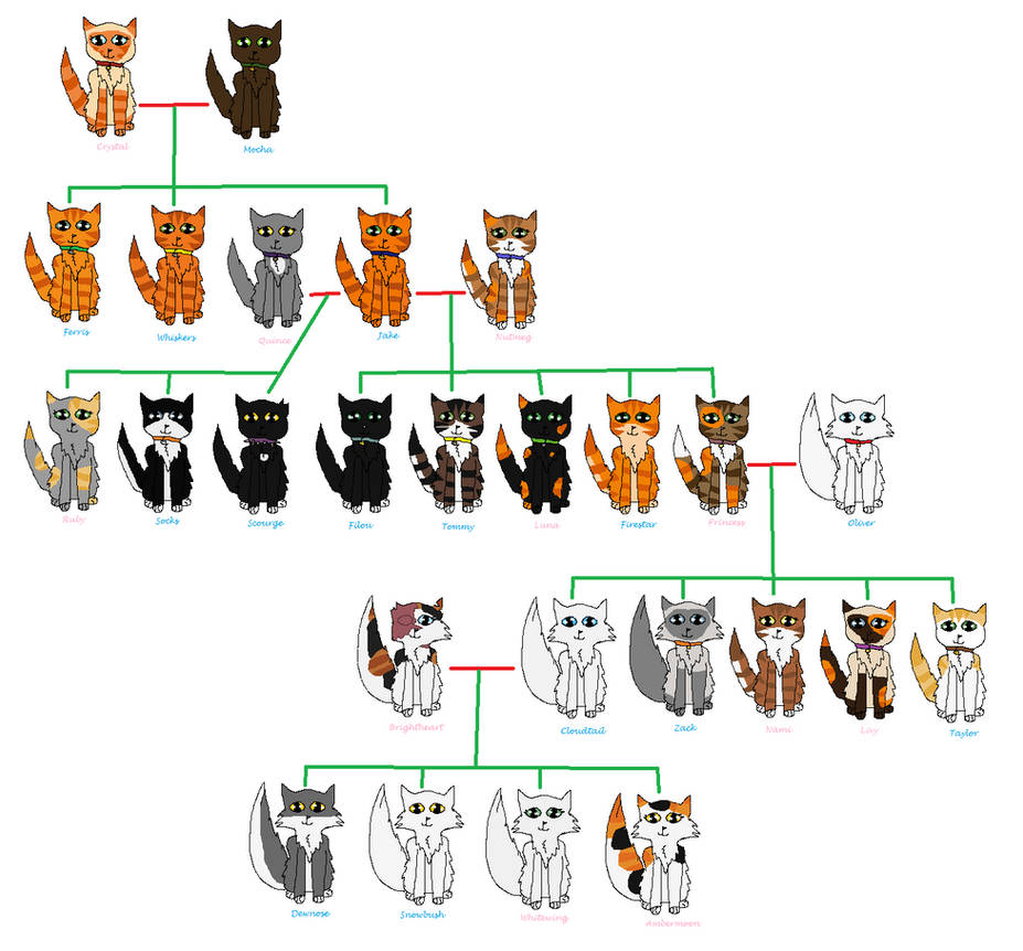 Warrior Cats Family Tree warrior-cats-family-tree