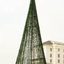 A Christmas Tree at Marion Square