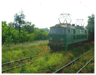 Poppy seed train