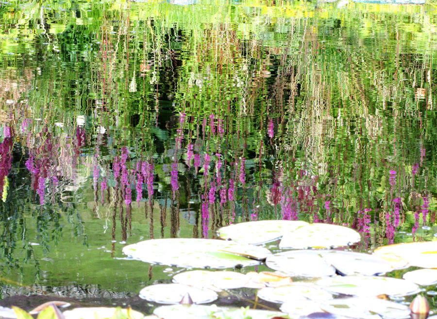 Upside Down Garden By Heylormammy On Deviantart Upside Down Garden By Heylormammy