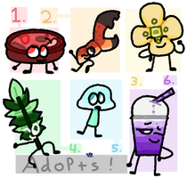 Colors of the Rainbow Adopts (1/6)