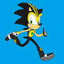 Shard The Hedgehog