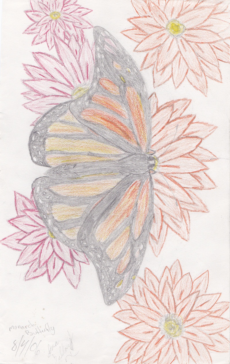 Monarch Butterfly