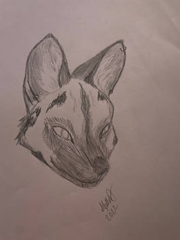 African Wild dog