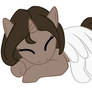 Cute sleeping pony