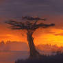 Lone tree at sunset