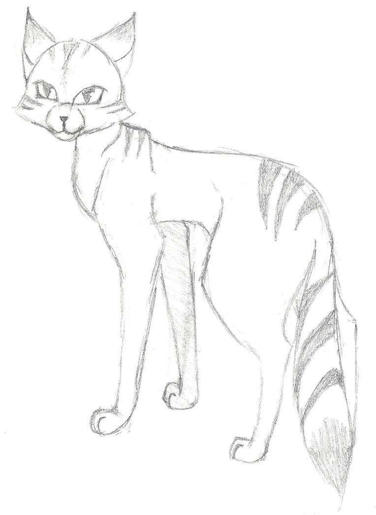 Cat Back Side by SilentLoyalty on DeviantArt