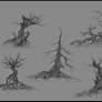 Trees Concept Sheet