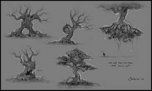 Trees Concept Sheet 2