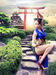 Once upon in japan by Maxwelb
