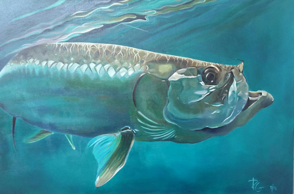 Tarpon