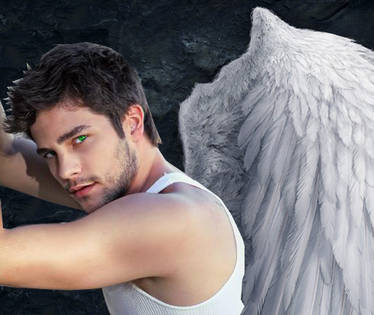 Cam Briel _Traditional Wings_