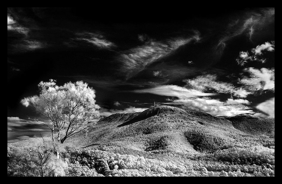 Mt Wellington IR