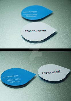 Business Card 'Experiment'