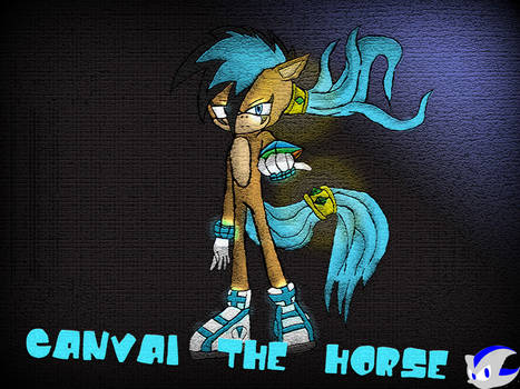 canvai the horse