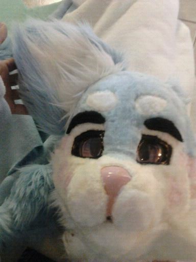 Sugar Partial photo WIP 2