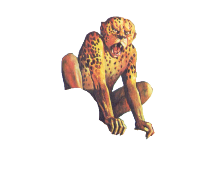Wereleopard Wereleopard by ThorionImperiosus on DeviantArt