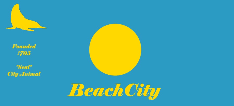 BeachCity Flag