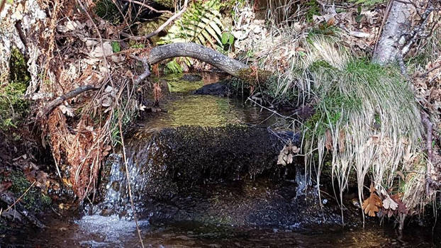 Fairy Bridge