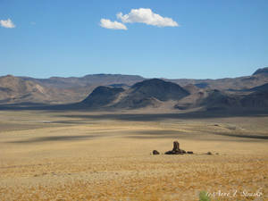 The Wilds of Nevada