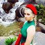 Street Fighter: Cammy White 1