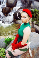 Street Fighter: Cammy White 1