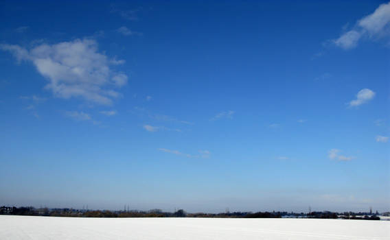 Snowy Fields