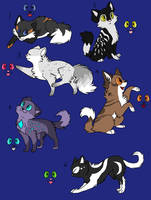 Cat Adopts -Open 4/6-