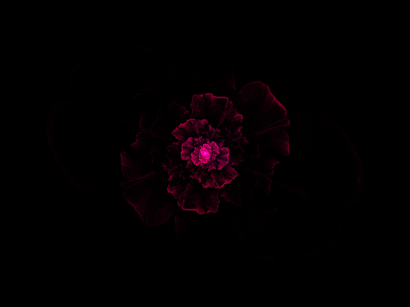 my first fractal flower