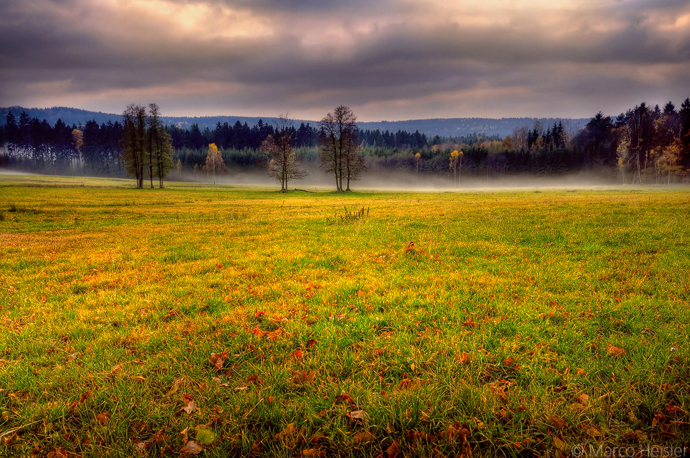 Afternoon Mist