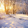 A Winter's Day