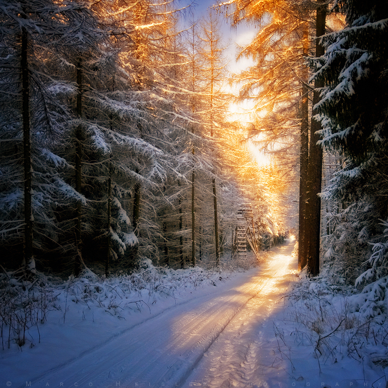 Lighten My Way by MarcoHeisler Lighten My Way by MarcoHeisler