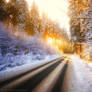 Winterglow
