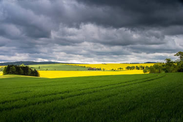 My Kingdom by MarcoHeisler