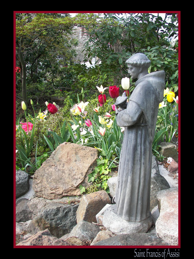 Saint Francis of Assisi