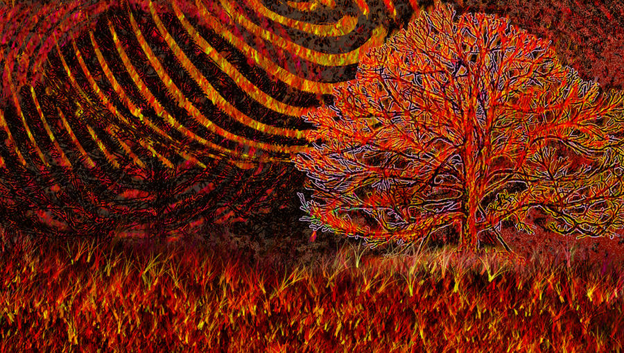 Roxin Tree Phoexin Tree by 5-24am on DeviantArt