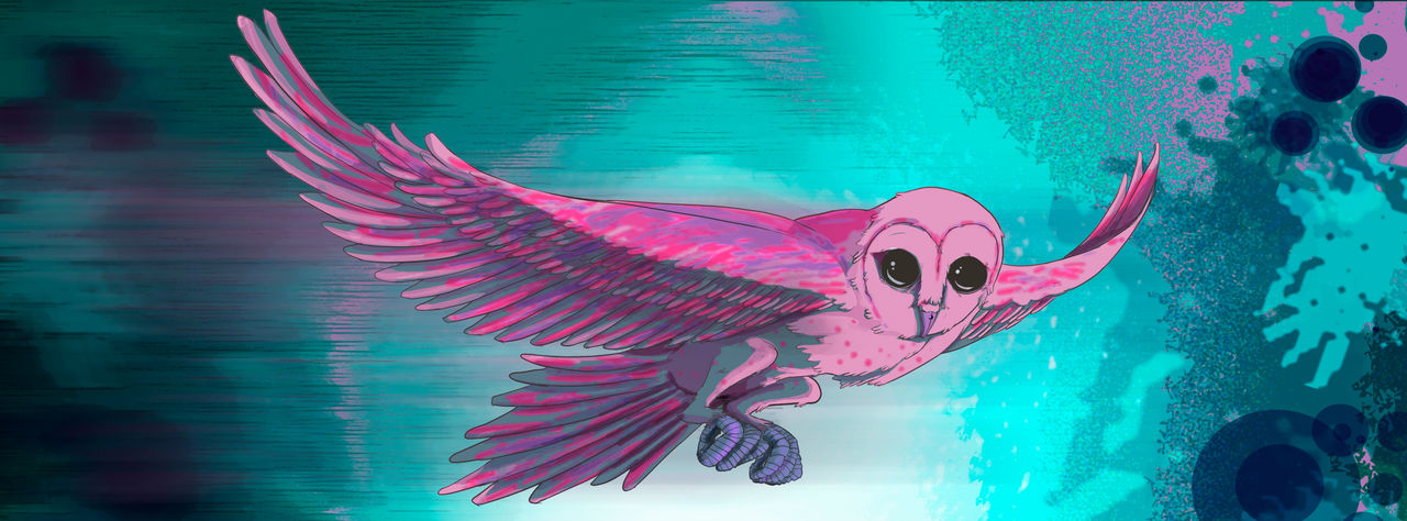 Owl by diiilustra on DeviantArt