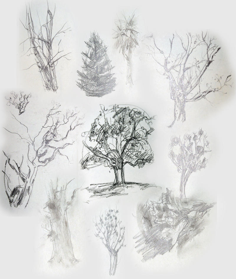 Tree Scetch Designs Tree Sketches by carolinny on DeviantArt