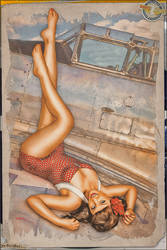 Pinups - There's something on the wing...