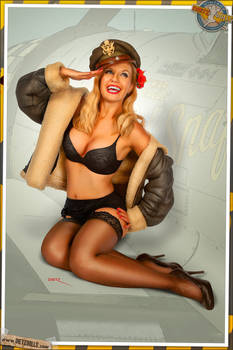 Pinups - Air Force Attraction